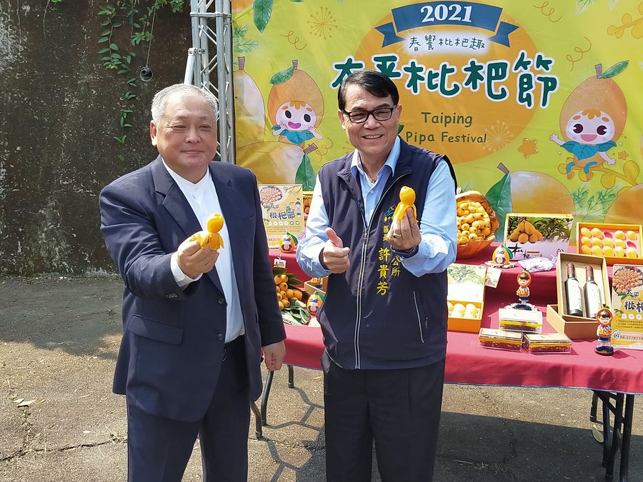 不受疫情影響太平枇杷開賣　區公所邀請民眾嚐鮮