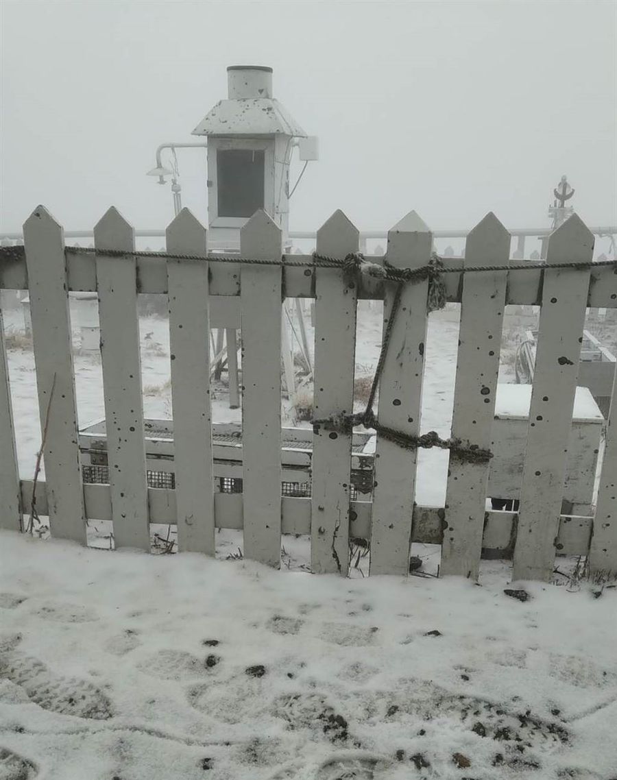 玉山降下3月瑞雪天地成銀白世界