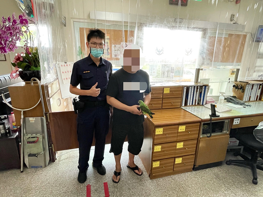 鸚鵡迷路向警求救 警讚：有靈性