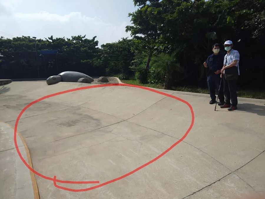 老婦人遭流浪犬追逐摔倒致死 逮4隻疑似禍首