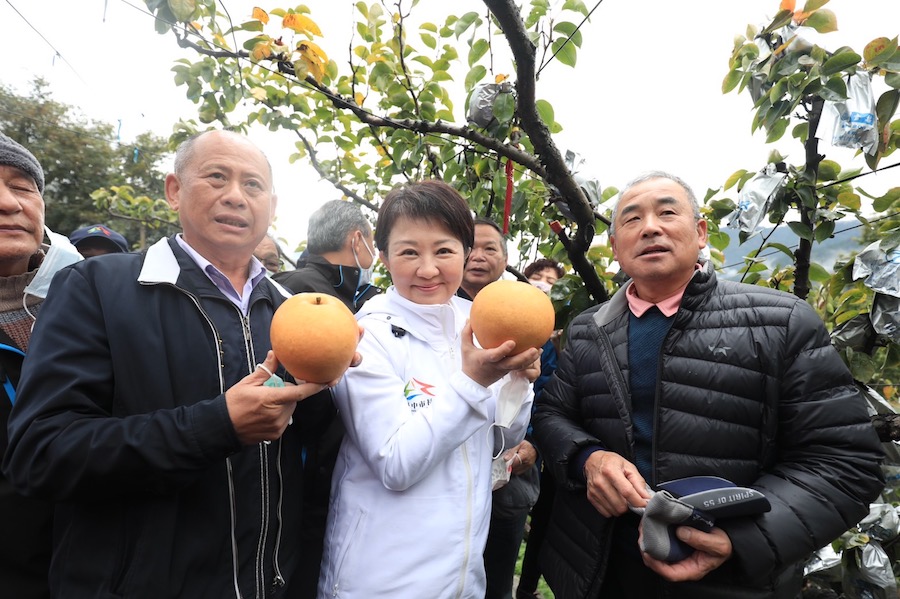 梨山甜柿、水梨盛產！ 盧市長體驗採果為在地農產行銷