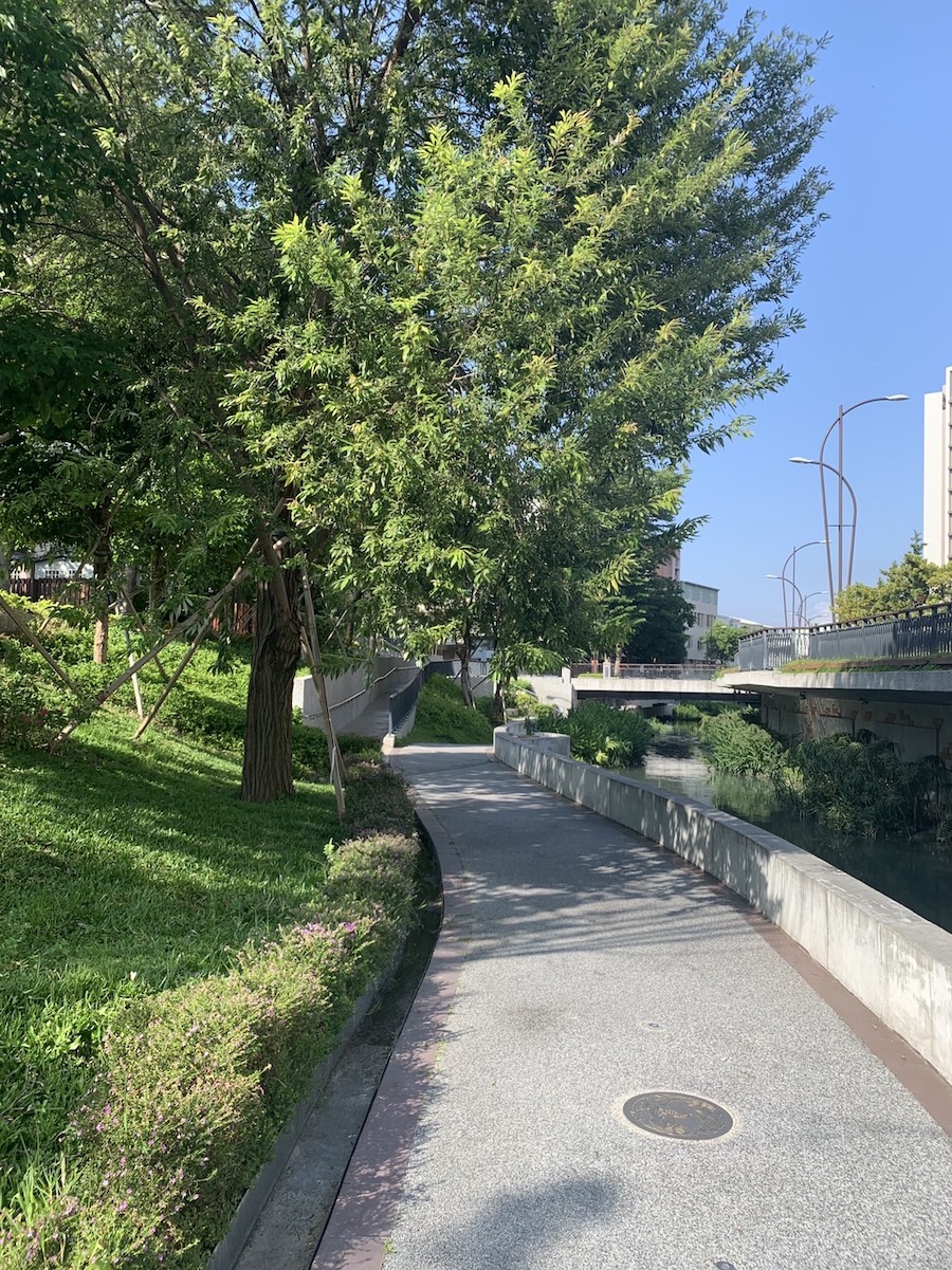 中市豐原葫蘆墩圳植栽更替 提供市民優質水岸空間