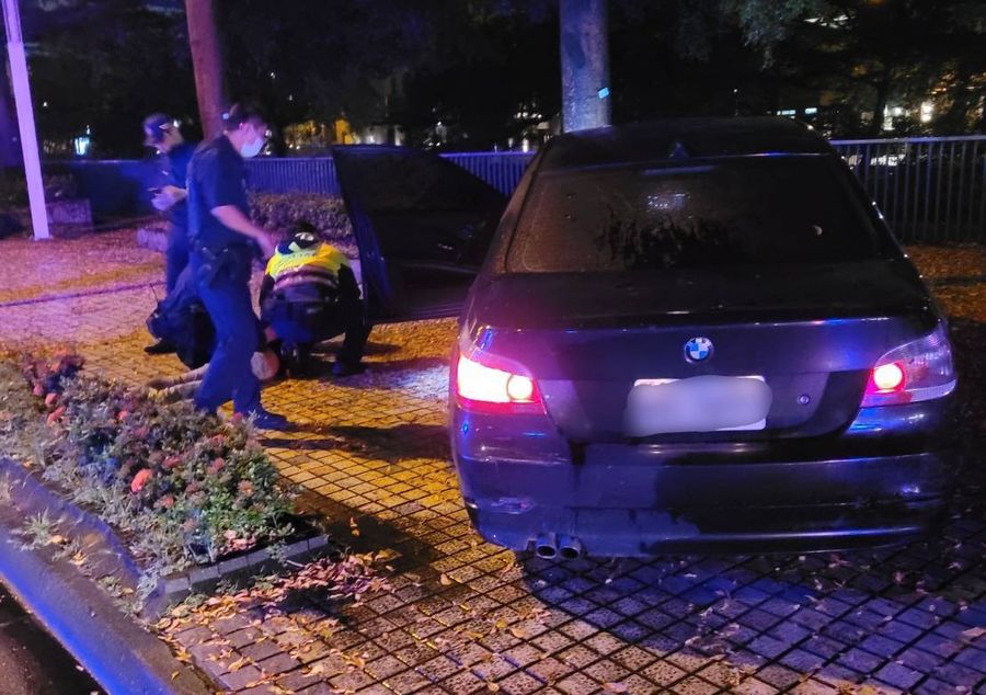 毒蟲載狗拒檢飛車逃逸 柴犬見飼主遭逮嚇到閃尿