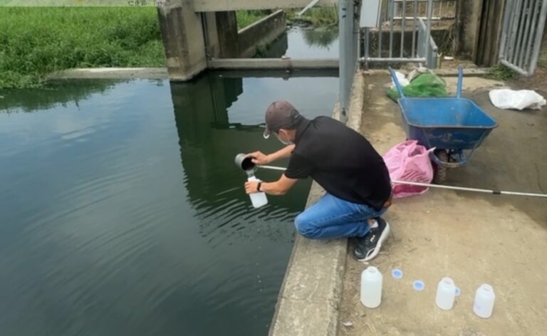 巡查頭汴坑溪發現死魚 中市環保局：已立即派員清理、持續追查違法污染源