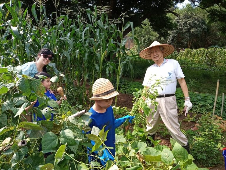中市「環保農園」即日起開放報名 抽30名幸運兒免費耕種5個月
