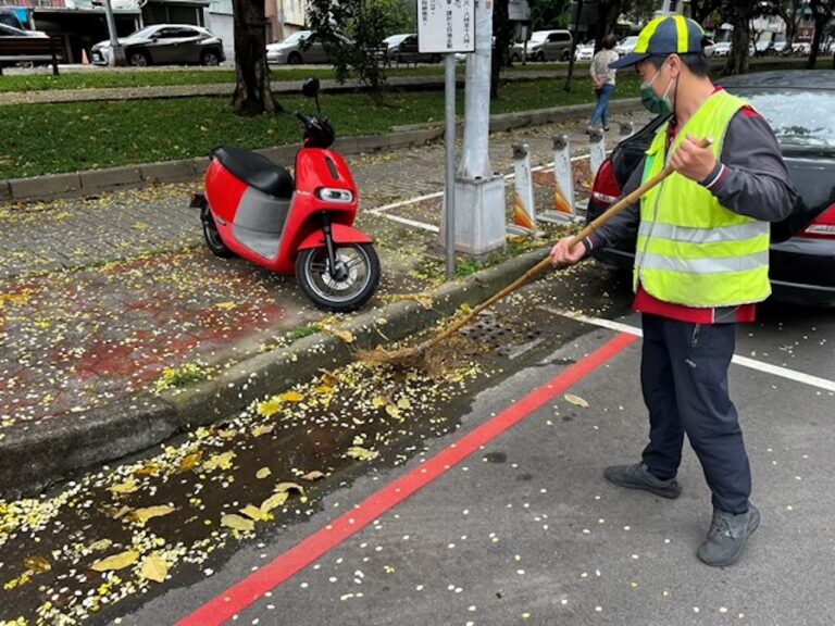 落葉資訊智慧化管理 中市環保局推「行道樹落葉資訊地圖」守護行車安全
