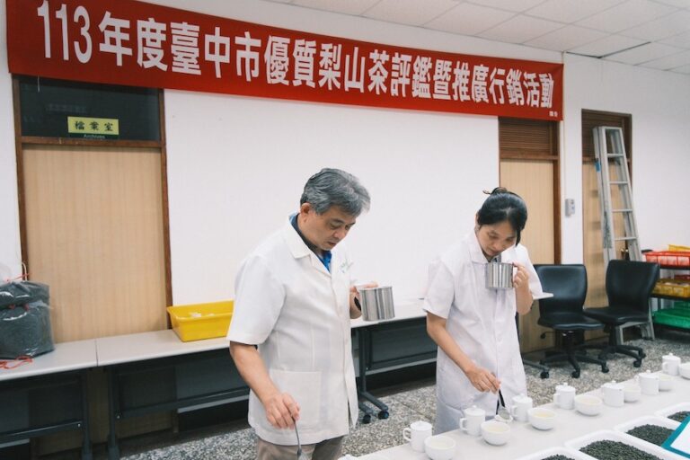 中市梨山茶評鑑得獎揭曉 黃厚文榮獲梨山茶王