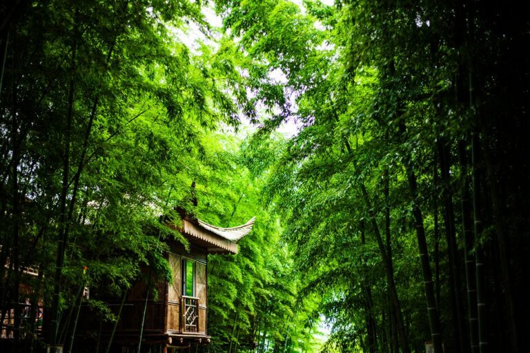 綿陽北川打造特色研學旅遊路線