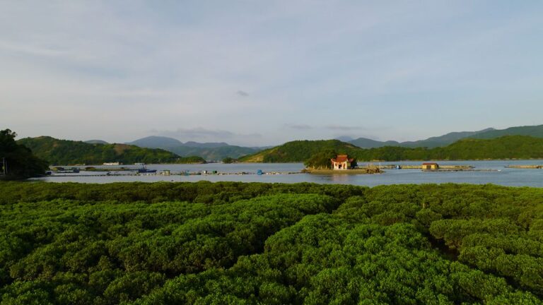 在海潮起落間 福鼎商貿、海防、媽祖等文化與海洋交織
