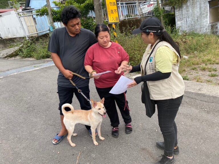 多管齊下防治！中市「梨山專案犬貓4合1活動」守護偏遠山區毛孩