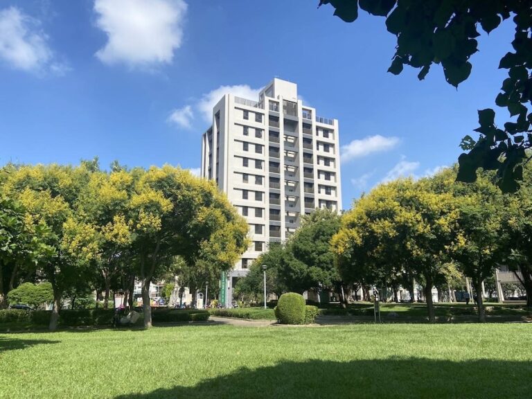 台灣欒樹金秋盛放！ 中市再現絕美限時賞景不容錯過