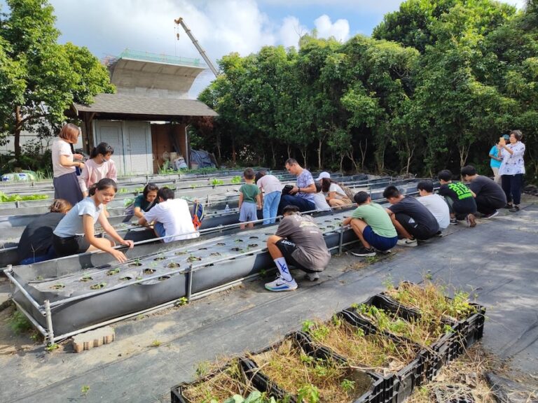 中市梅子社區戶外田園解說體驗活動 帶領民眾悠遊田園之美
