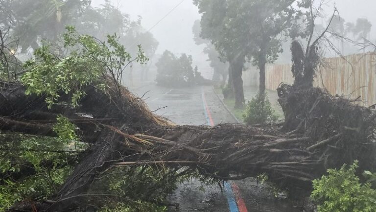 颱風山陀兒昨午高雄登陸 全台2死1失蹤219傷
