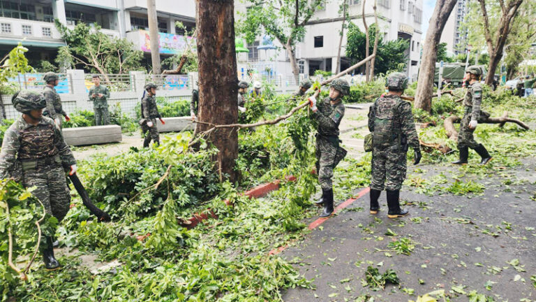 颱風山陀兒重創高雄 行道樹慘倒一片
