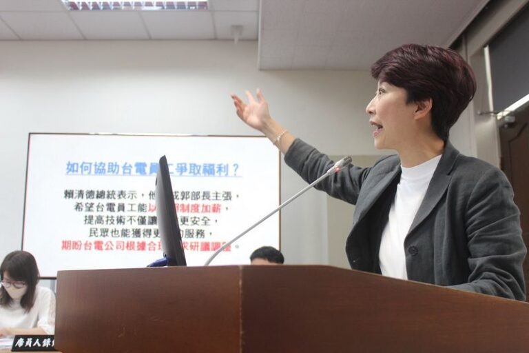 陳亭妃：政府不能漲民生電價 也應照顧第一線台電員工的權益