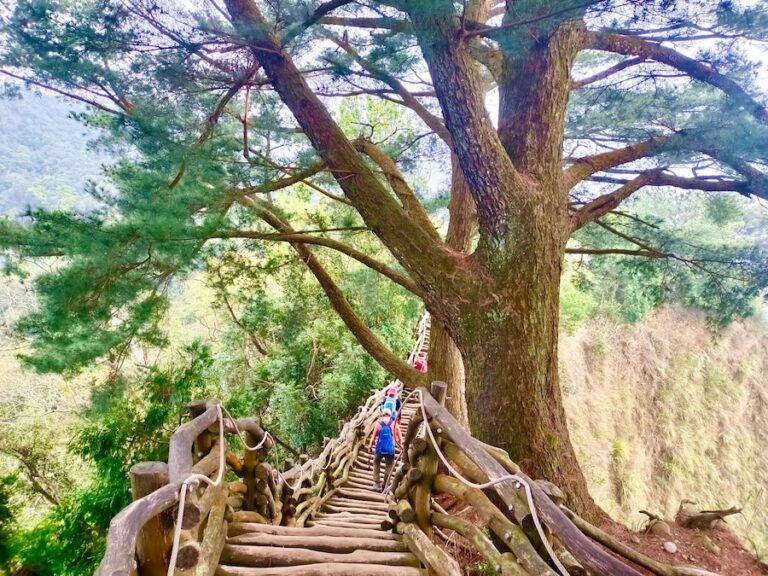台中大坑眺景秘境開箱！ 觀旅局：4月到大坑5號步道感受雲霧繚繞風情