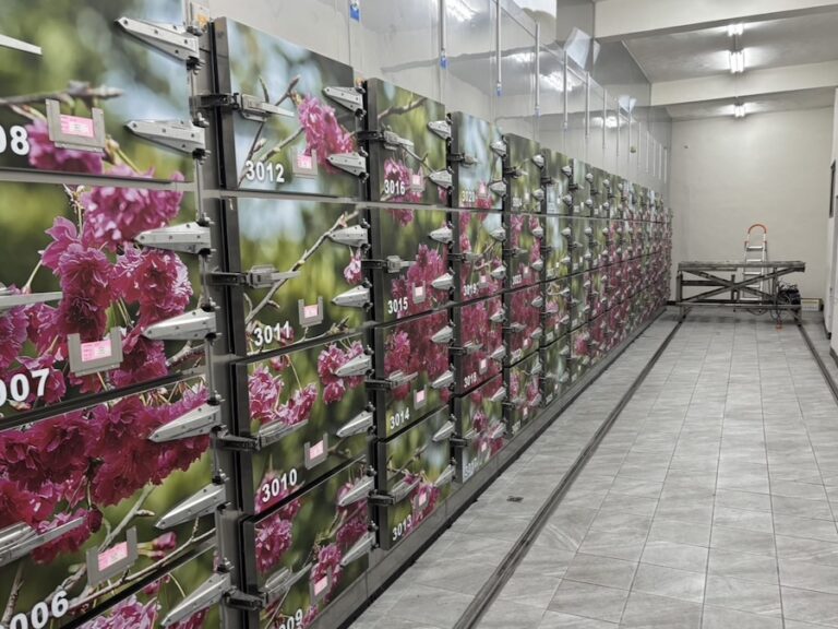 崇德殯儀館冷凍庫升降機功能正常 中市府：定期更換消耗品確保安全