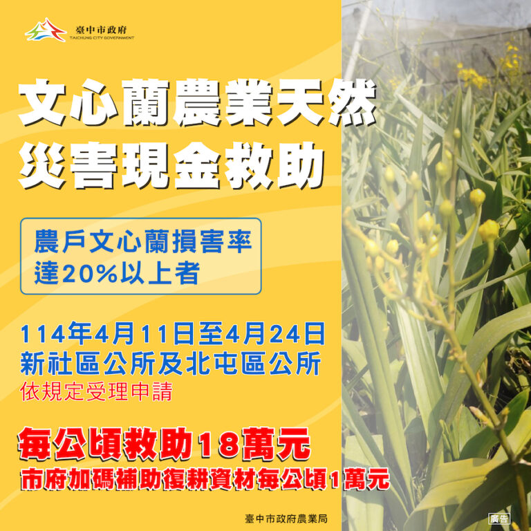 中市新社區及北屯區文心蘭災損 4/24前可申請現金救助