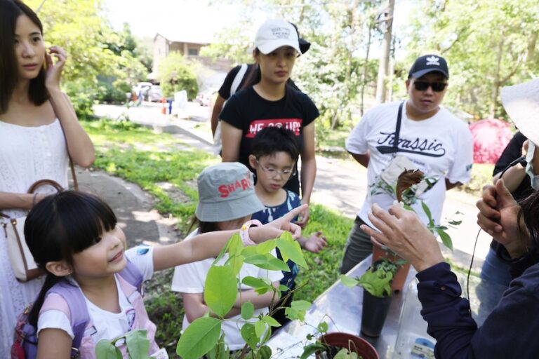 夏日山林化身賞蝶秘境！大坑限定活動5/12開放報名