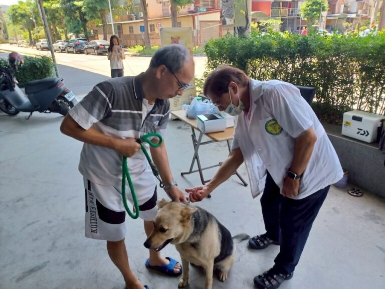 疫起動起來！中市動保處：帶毛孩施打狂犬病疫苗