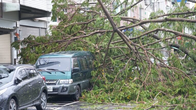 嘉市飽受摧殘 市府動員重建