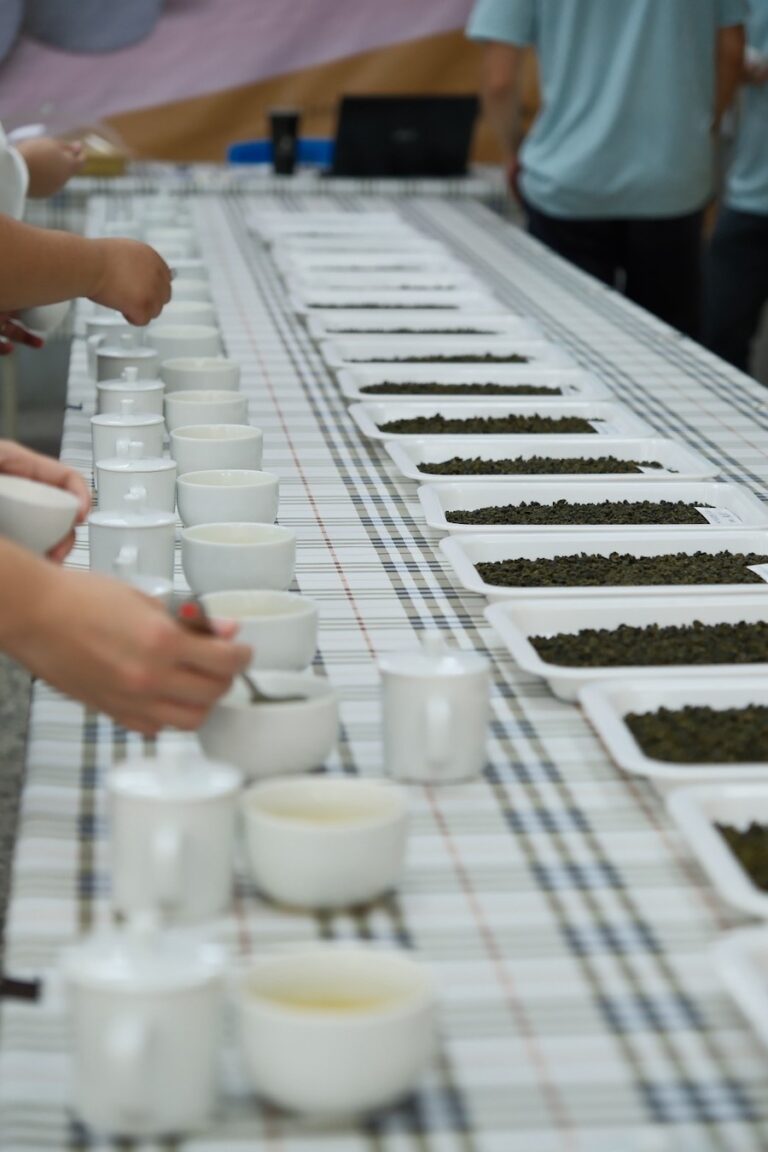 推廣梨山好茶 中市農業局輔導和平區農會辦理評鑑競賽成果出爐