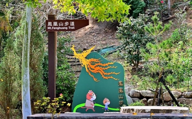 暑期森呼吸！中市觀旅局邀民眾親近山林悠遊登山步道
