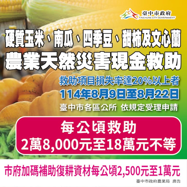 中市甜柿、硬質玉米、南瓜、文心蘭、四季豆災損　8/22前可申請現金救助