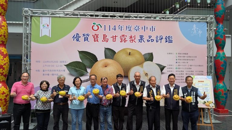 農友曾瑞東勇奪寶島甘露梨王！台中市寶島甘露梨果品評鑑結果揭曉