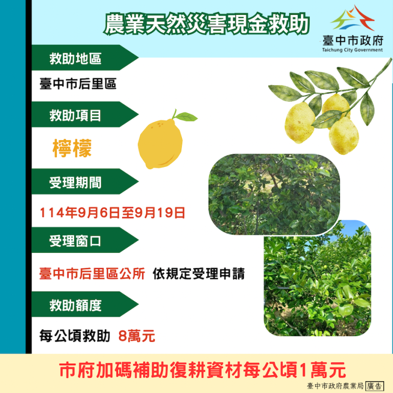 中市后里區檸檬災損 9/19前可申請現金救助
