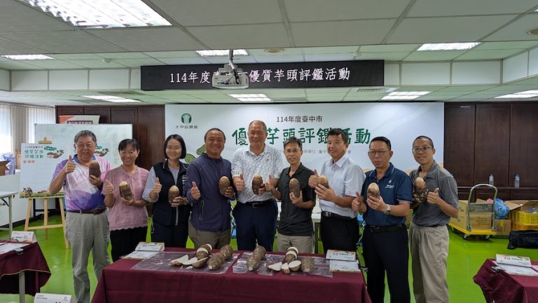 台中芋頭享譽全國 芋頭評鑑大甲區王忠信勇奪冠軍頭銜！