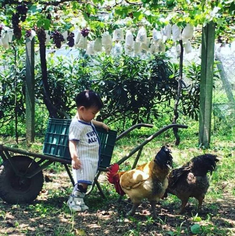 秋遊台中後花園 農業局「綠生活巡禮」10/9登場