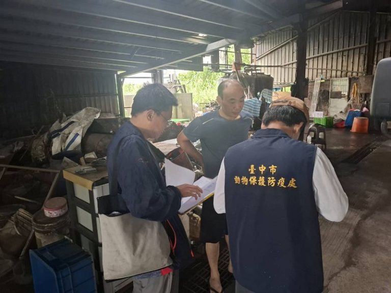 非洲豬瘟台中豬場 28頭流向彰化嘉義等3縣市