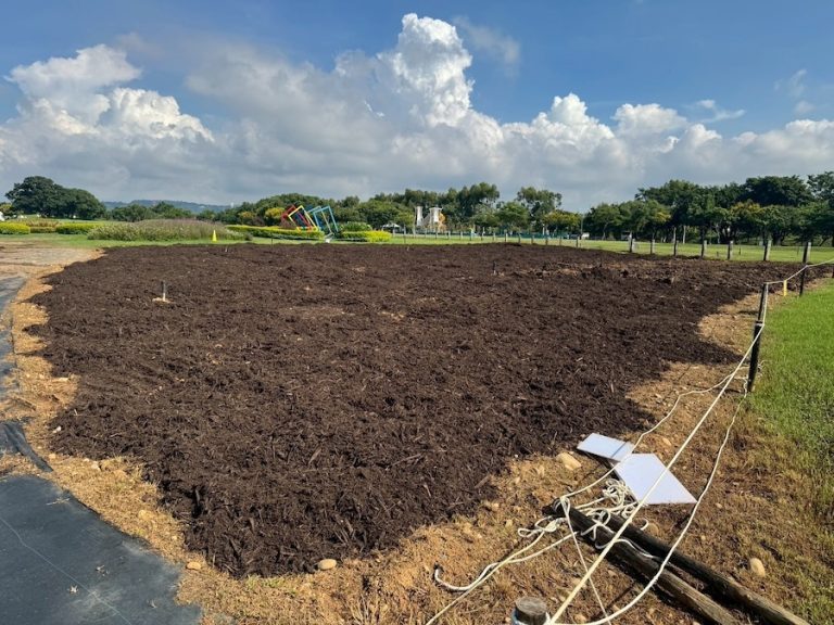 資源再利用！東勢綠資材中心提供市民免費破碎木料