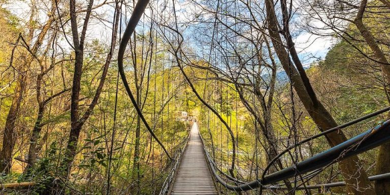 中市府觀旅局輔導原民地區取得民宿登記證 提供高山旅遊多樣選擇