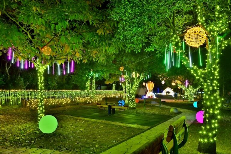 山城冬季賞燈首選！2025石岡花漾藝術燈節12/24點燈　民政局長：打造夢幻光影小鎮