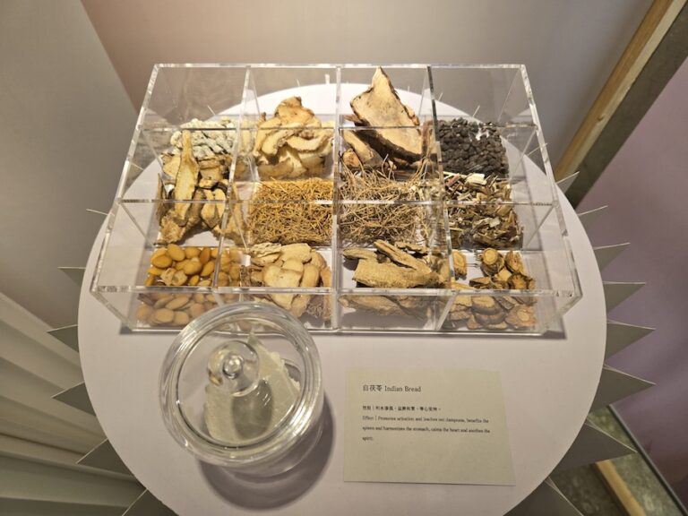 另類「美」展！中市立夫中醫藥博物館特展 發掘中醫藥美顏智慧
