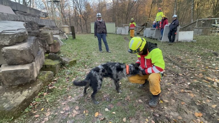 台中消防搜救犬隊赴德國聯邦救難犬協會交流訓練 引進歐洲先進技術強化災害搜救量能