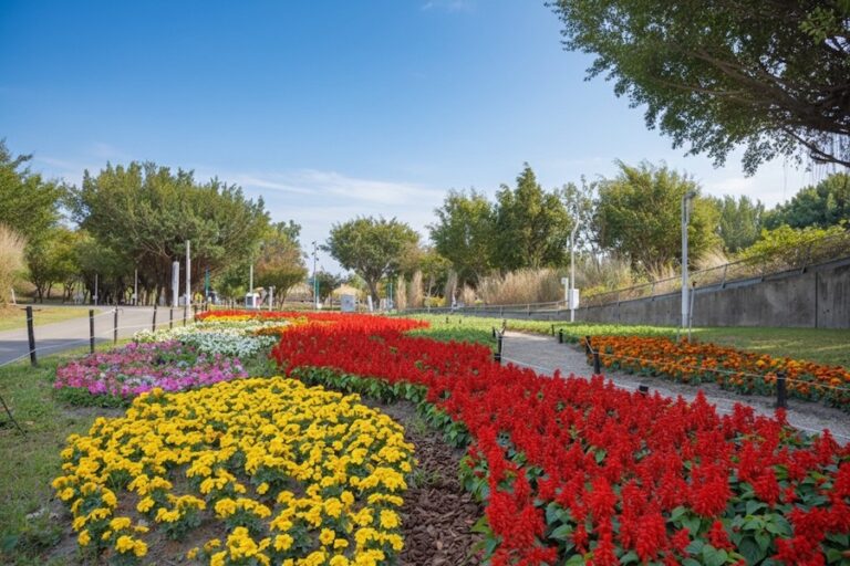 026新年走春好去處！ 台中道路、公園繽紛蒔花妝點城市景觀