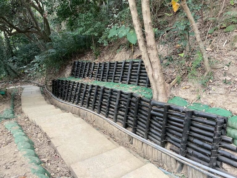 市府加速搶修大坑步道　6、7號步道今日提前開放　2、5號步道拚2月底通行