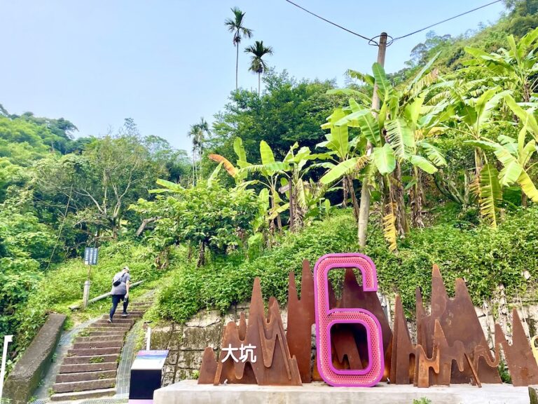 馬年行大運！大坑步道特色滿點 登頂保證「龍馬」精神