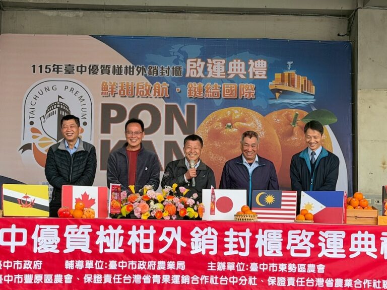 鮮甜啟航、鏈結國際 台中優質椪柑外銷封櫃啟運　600公噸挺進多國市場