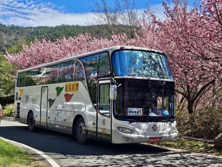 中市交通局籲把握賞櫻假期 搭乘大眾運輸最便利