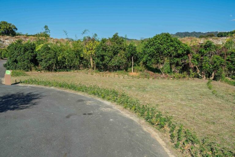 台中再添樹葬新據點 潭子生命紀念館樹葬區啟用 民政局長：提供多元永續殯葬選擇