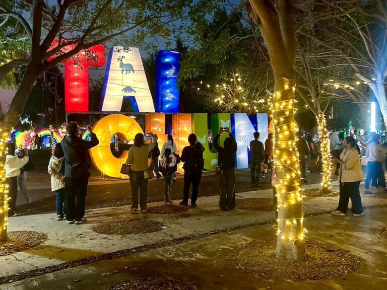 了解毛孩的內心世界！中市農業局燈會辦「動物夢世界」主題活動日