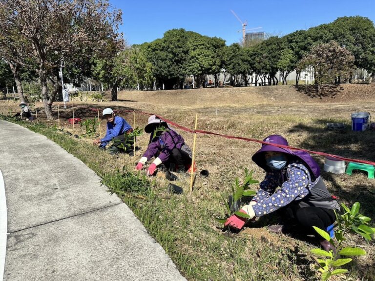 中央公園啟動原生植物培育行動！建設局攜手科博館打造都市原生種苗庫