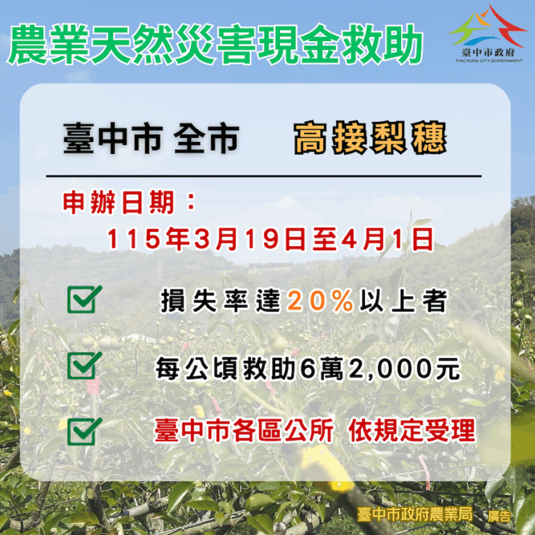 中市高接梨穗災損補助 3/19-4/1受災農民可申請現金救助