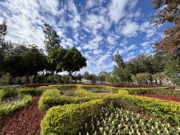 從展示藝術到生活場域 后里森林公園機械花啟動轉型