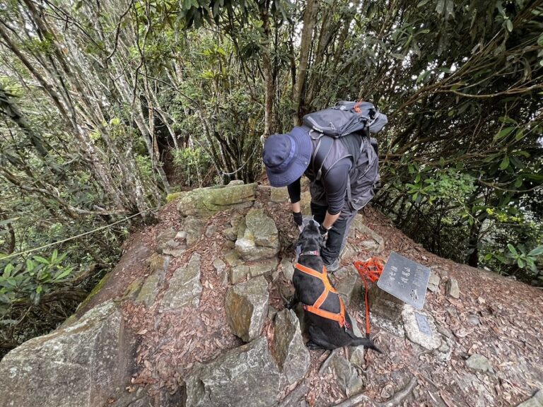 台中市搜救犬Jacob與Wonder圓滿退役 前往新家開啟後半輩子幸福「毛生」