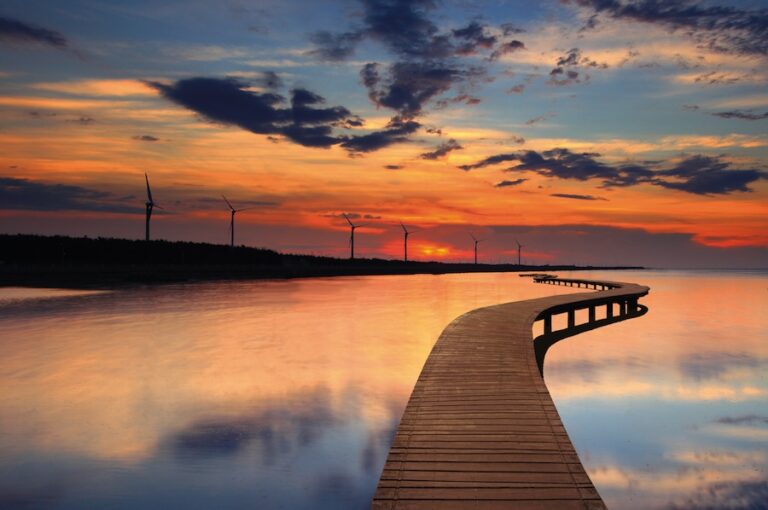 珍愛高美濕地守護生態　中市府澄清未檢出戴奧辛、持續推動海線觀光